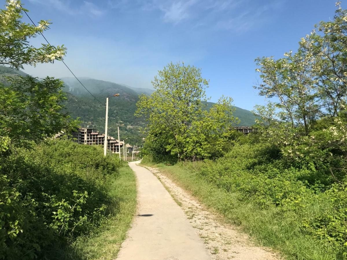 Ainar Hotel Gagra Ngoại thất bức ảnh
